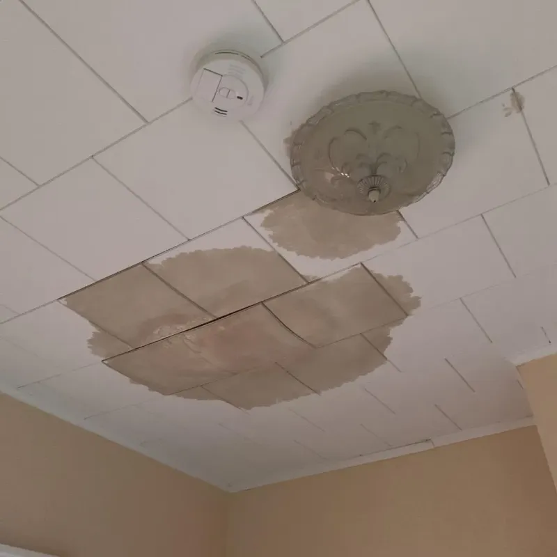 Ceiling Water Damage Repair in Ewing, NJ