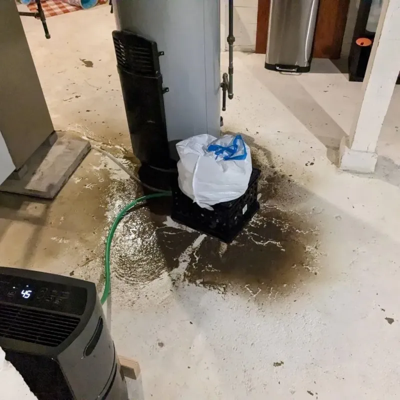 Sewage Backup Cleanup Service in Ewing, NJ